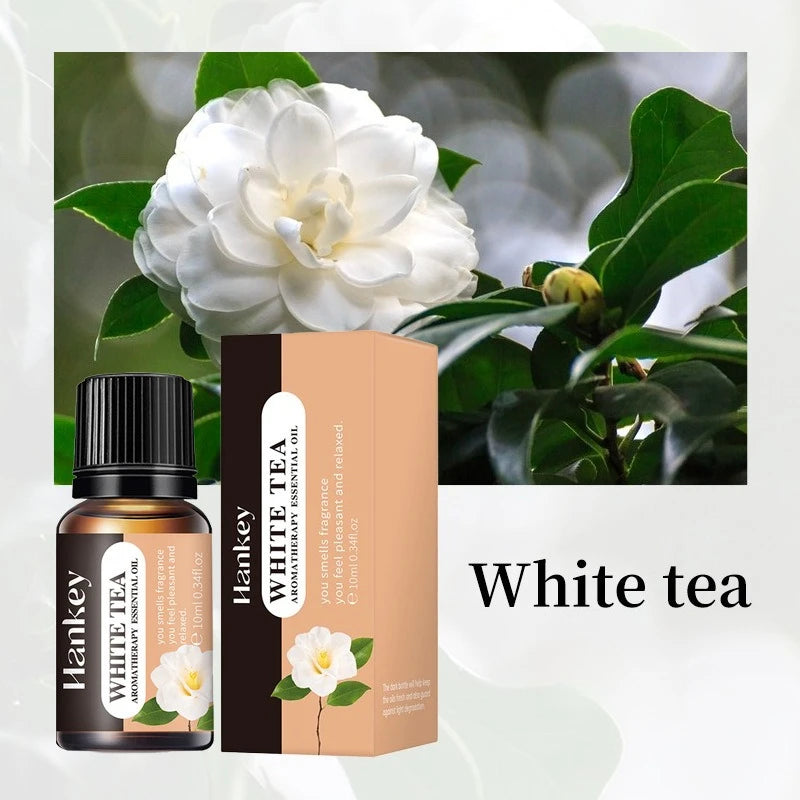 20 Flavors Essential Oils for Aroma Diffuser Air Humidifier 10ml Water-soluble Orange Lavender Air Freshener Scents Fragrance