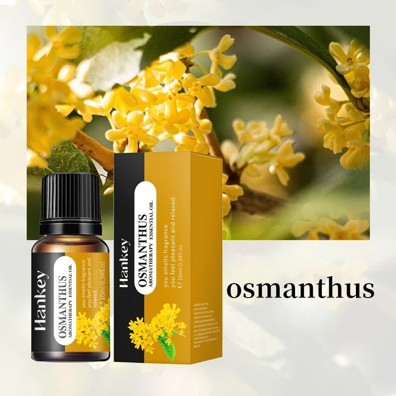 20 Flavors Essential Oils for Aroma Diffuser Air Humidifier 10ml Water-soluble Orange Lavender Air Freshener Scents Fragrance